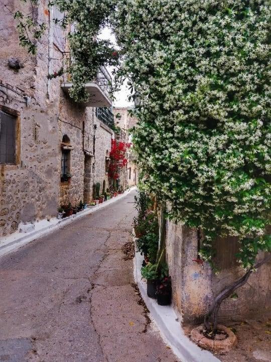 Mandalena ΄S Traditional Apartments Vessa Bagian luar foto